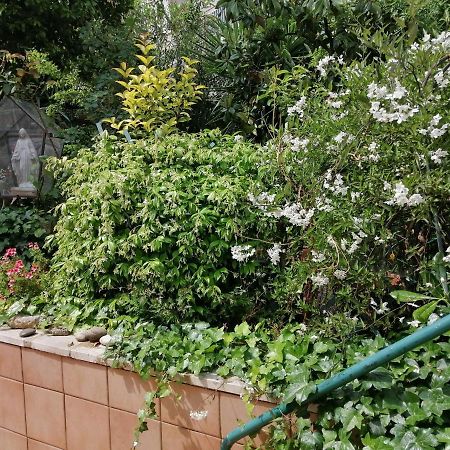 Il Giardino Della Nonna Apartment Алберобело Екстериор снимка