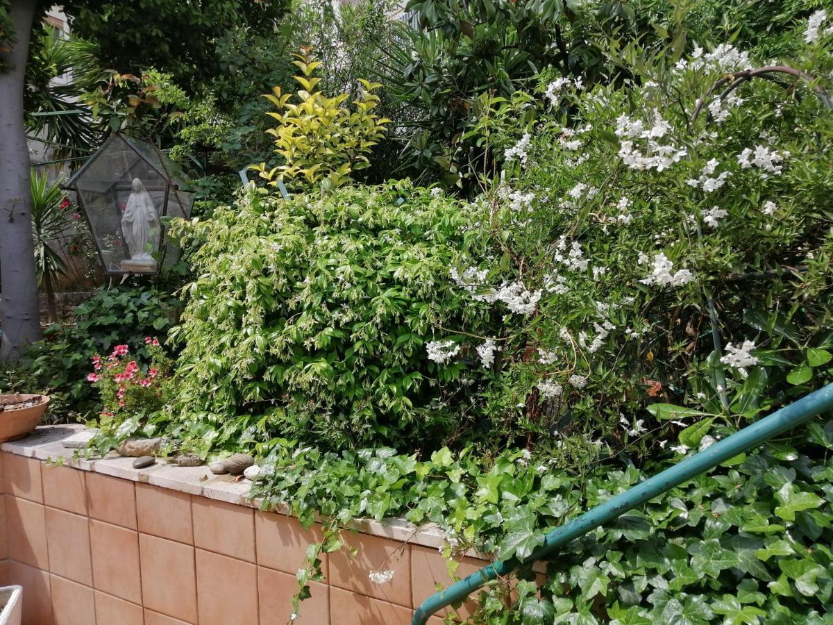 Il Giardino Della Nonna Apartment Алберобело Екстериор снимка