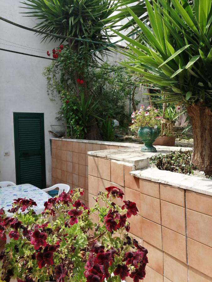 Il Giardino Della Nonna Apartment Алберобело Екстериор снимка