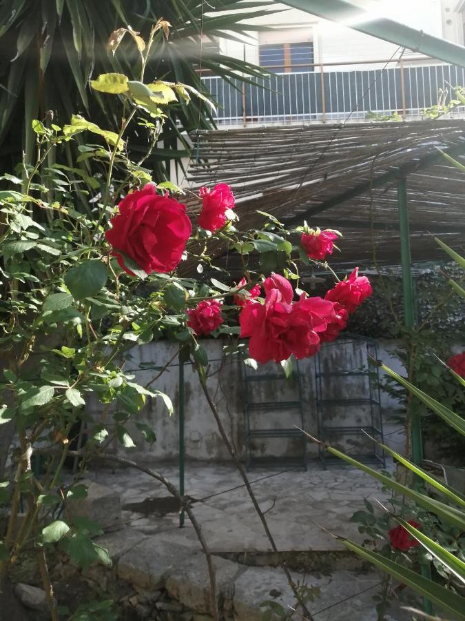 Il Giardino Della Nonna Apartment Алберобело Екстериор снимка